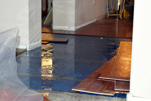 Professional Water Damage Restoration technician working in Camden, MI